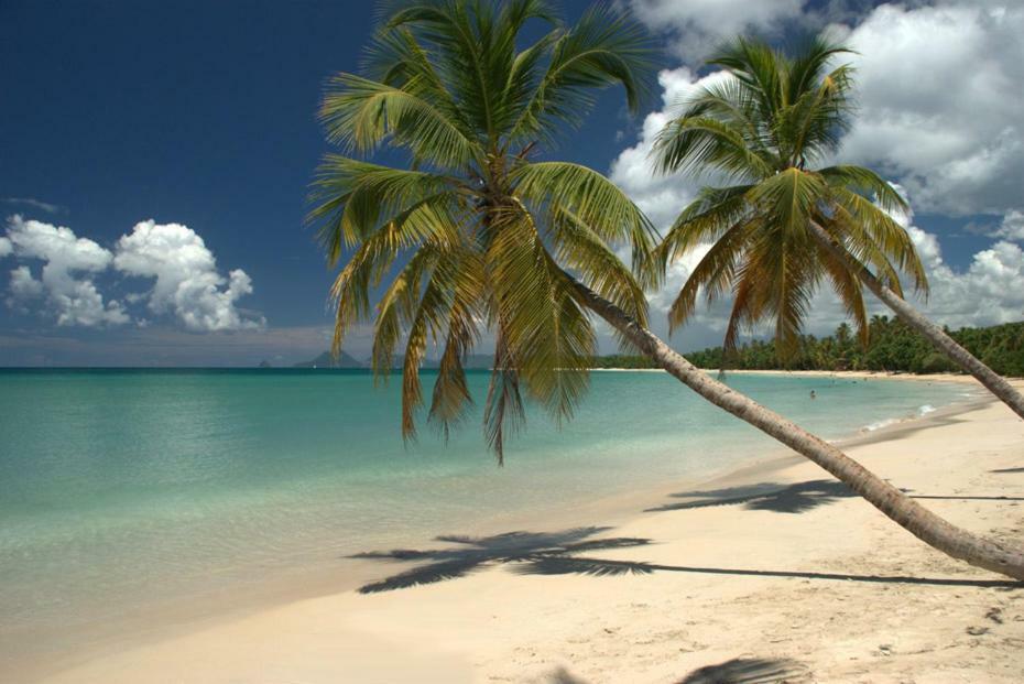 Holidays In Martinique - Ravenala Сент-Анн Экстерьер фото