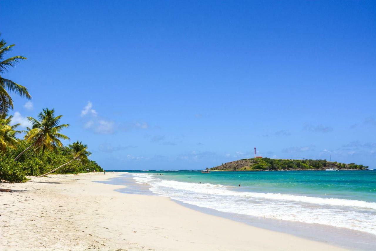 Holidays In Martinique - Ravenala Сент-Анн Экстерьер фото