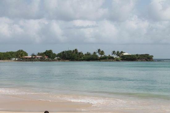 Holidays In Martinique - Ravenala Сент-Анн Экстерьер фото